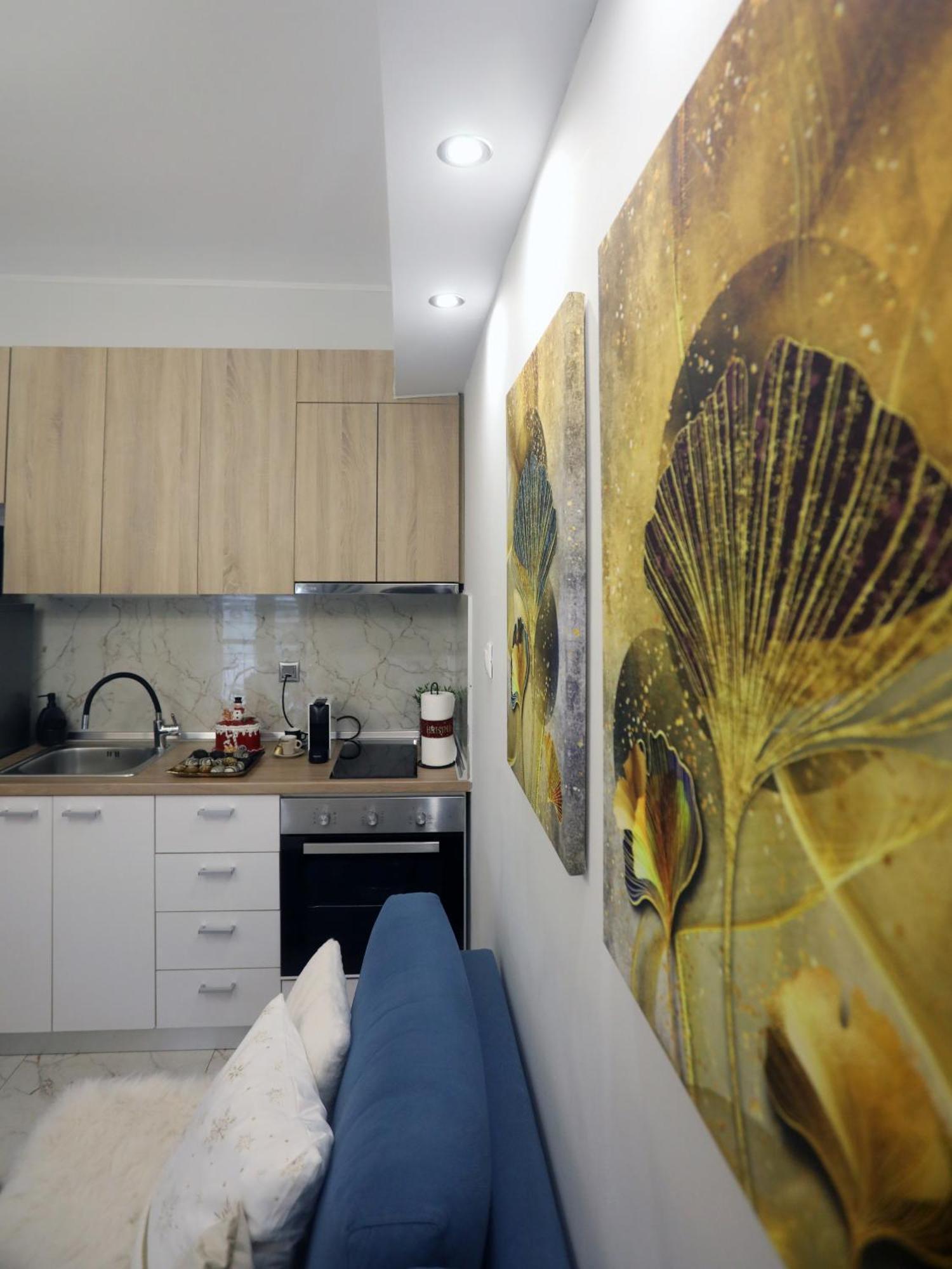 Psimithefto Luxury Apartments เทสซาโลนิกิ ภายนอก รูปภาพ